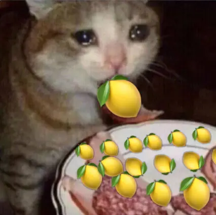 羡慕的是激烈的XXOO吗，不，羡慕的是甜甜的恋爱