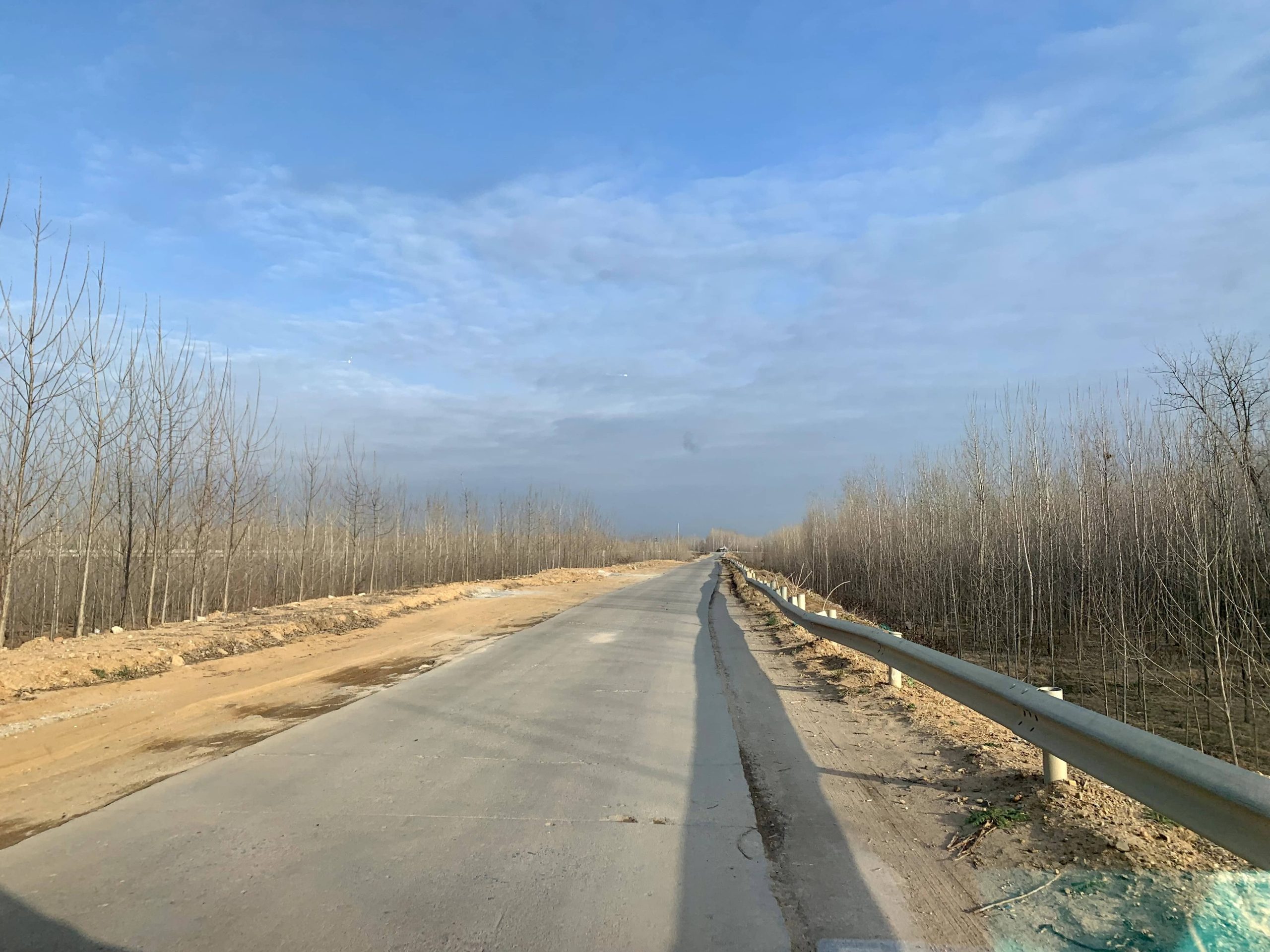 2023年度总结（走马灯）